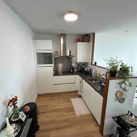 The Crown In La Haya