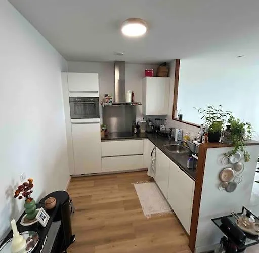 The Crown In Den Haag